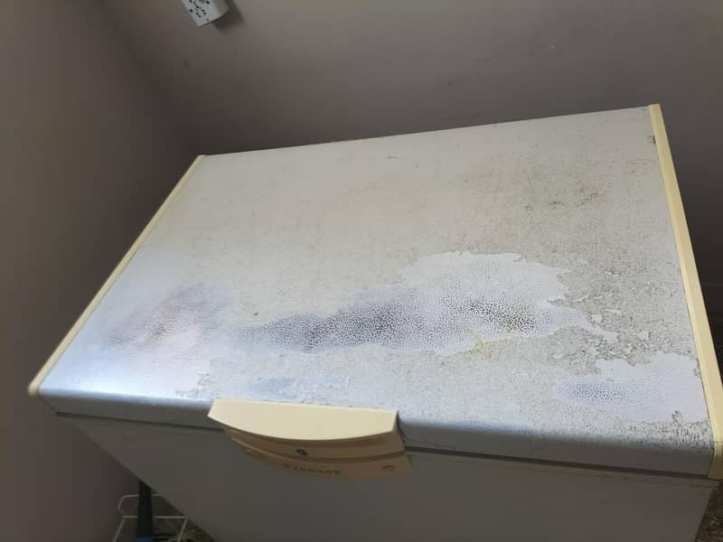 waves d freezer 2