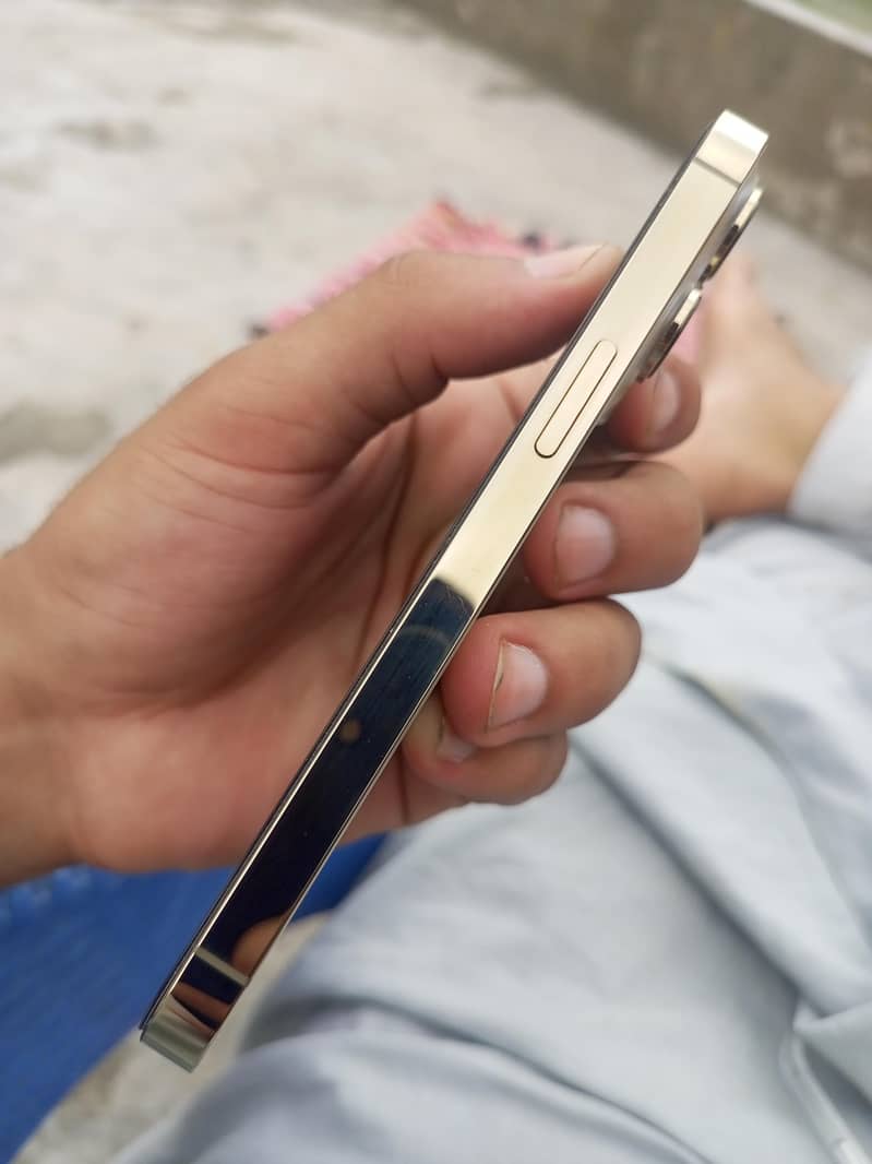 Apple iPhone 13 Pro 1