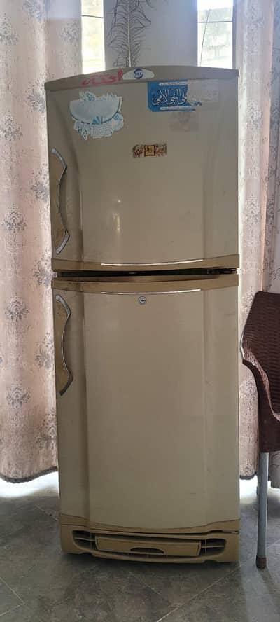 Pel Medium Size