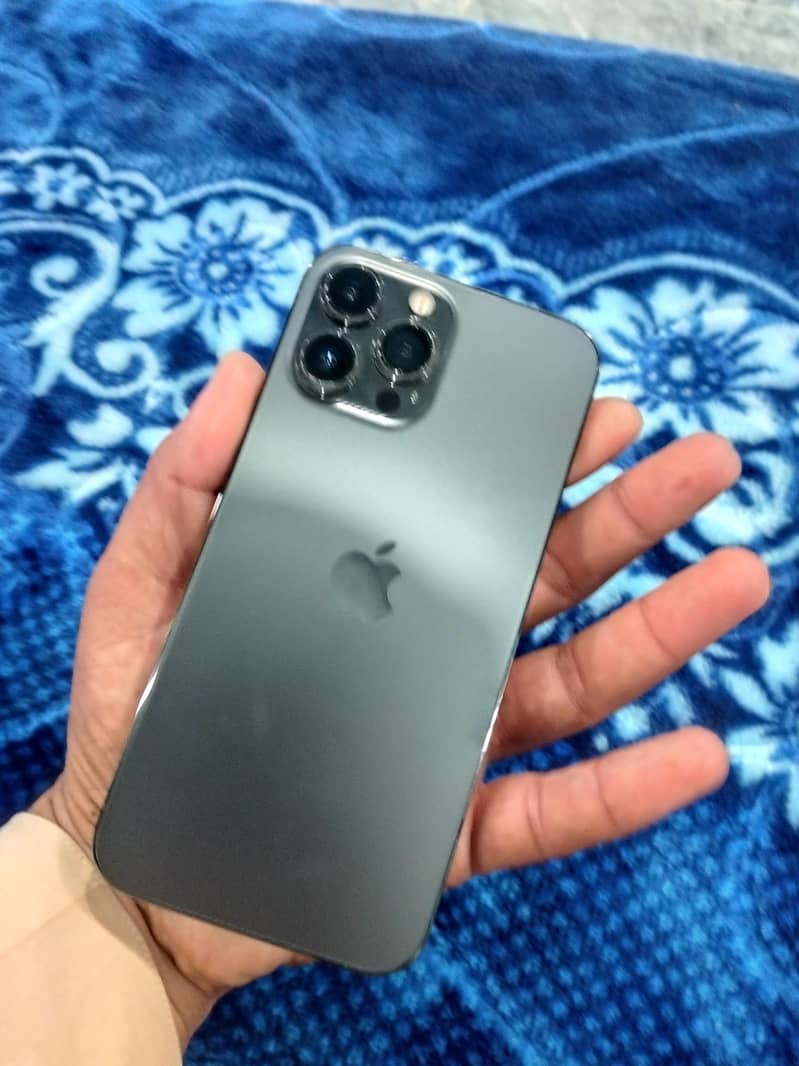 Apple iPhone 13 Pro Max 1