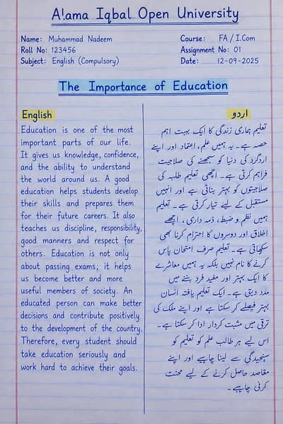 School & College Assignment Writing