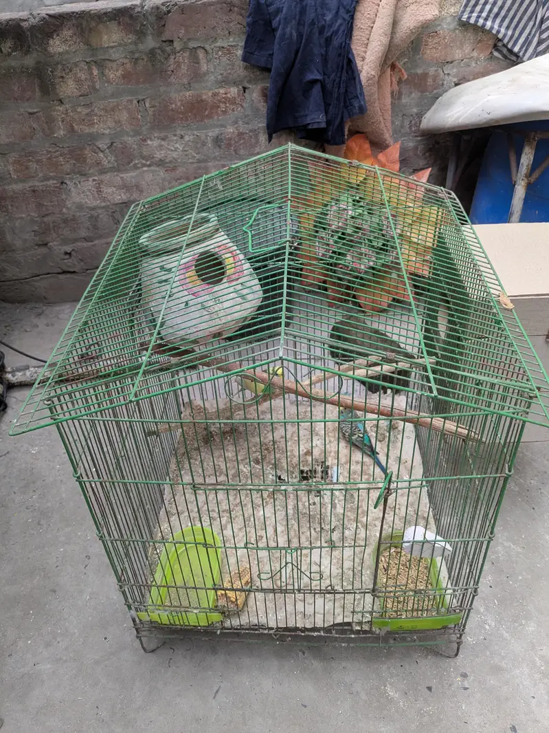 Parrot - Cage - Breeding box — photo 7