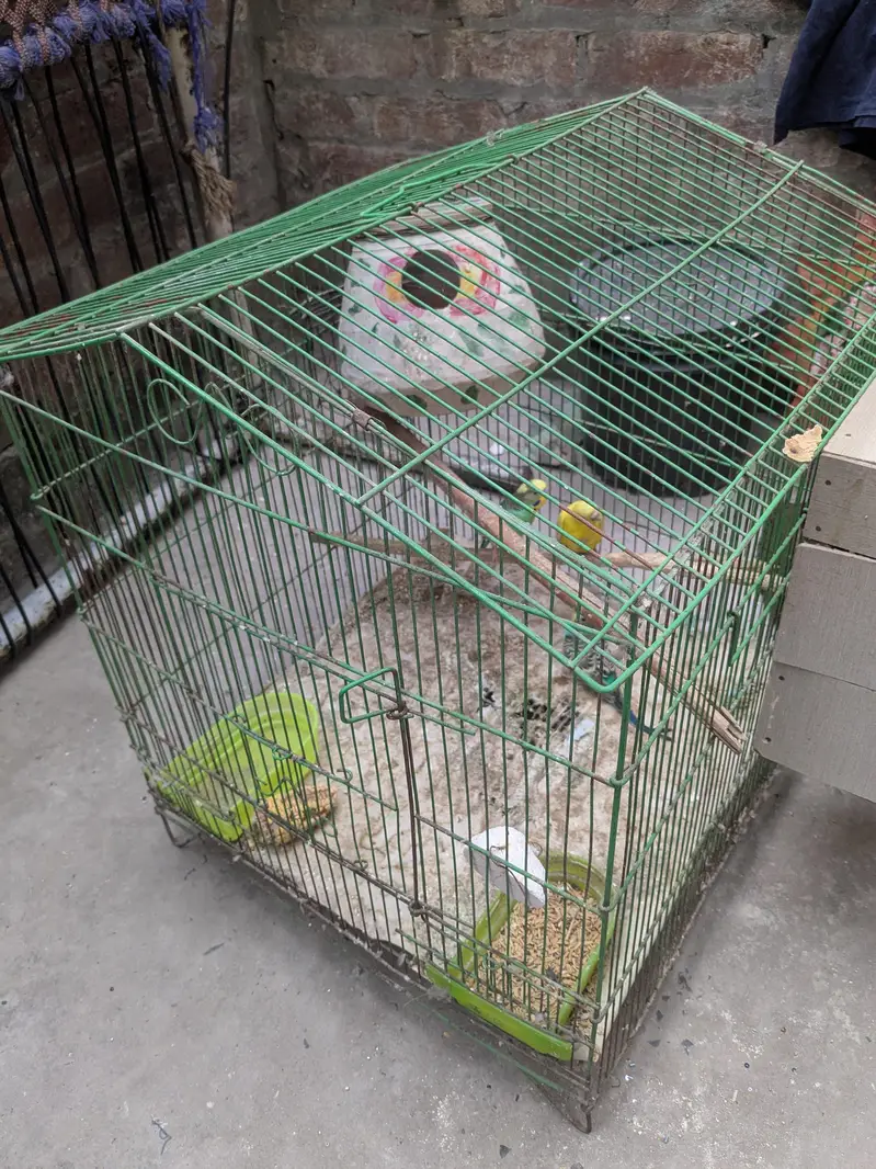 Parrot - Cage - Breeding box — photo 8