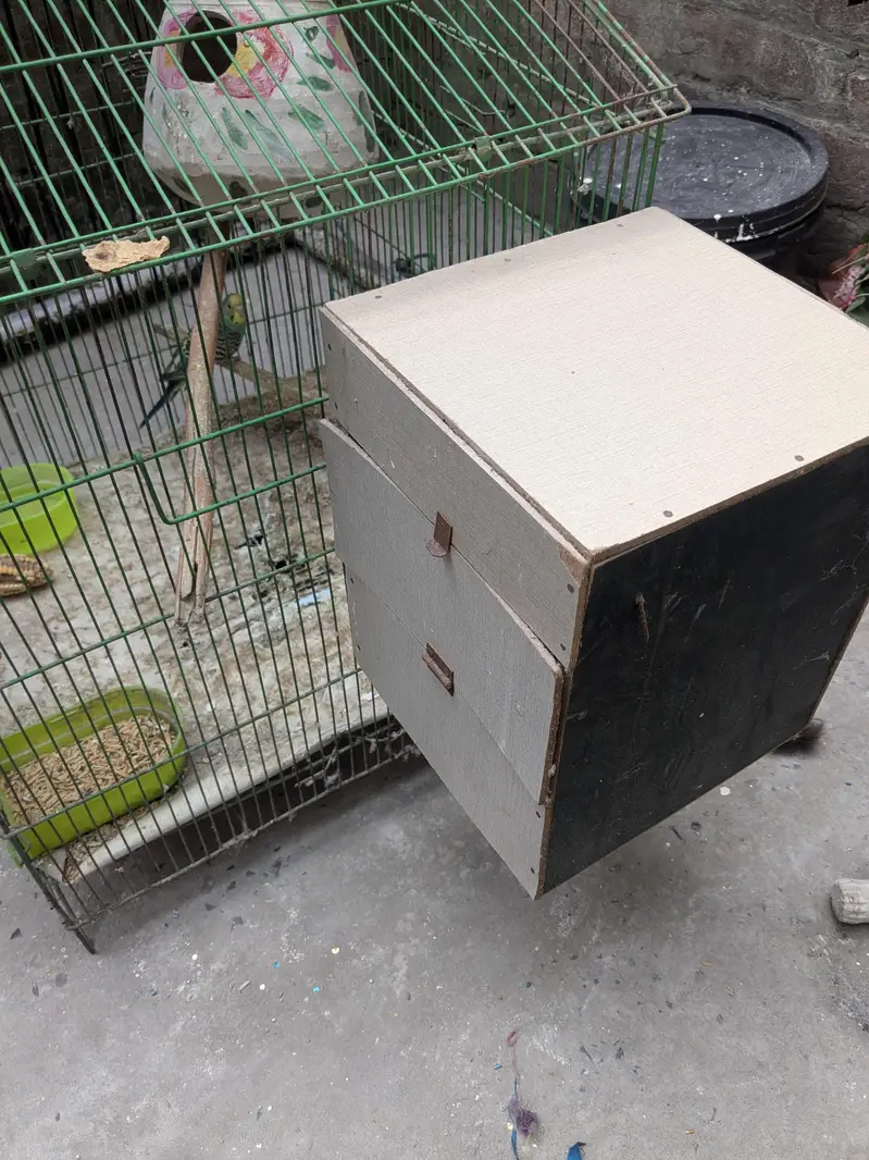 Parrot - Cage - Breeding box — photo 9