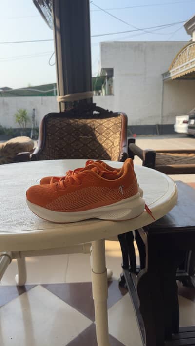 Brand new shoes 1 degrees