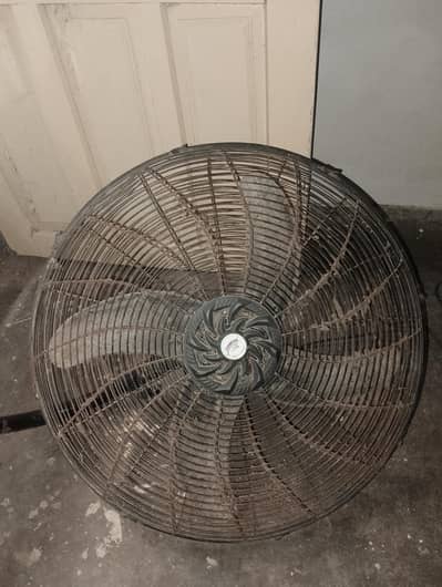 Urgent Sale: 4 Millat + 1 Champion Wall Fan | 100% OK Condition