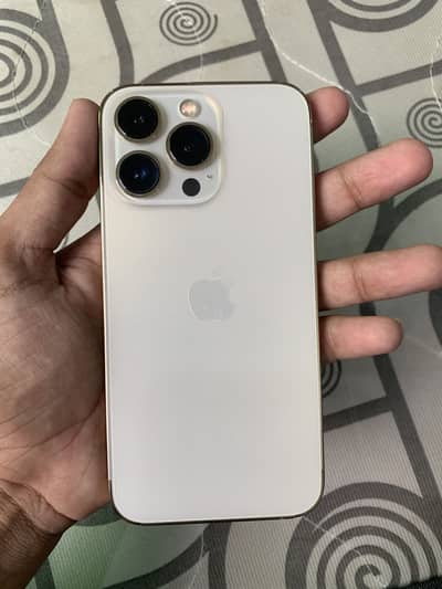 Apple iPhone 13 Pro waterpack