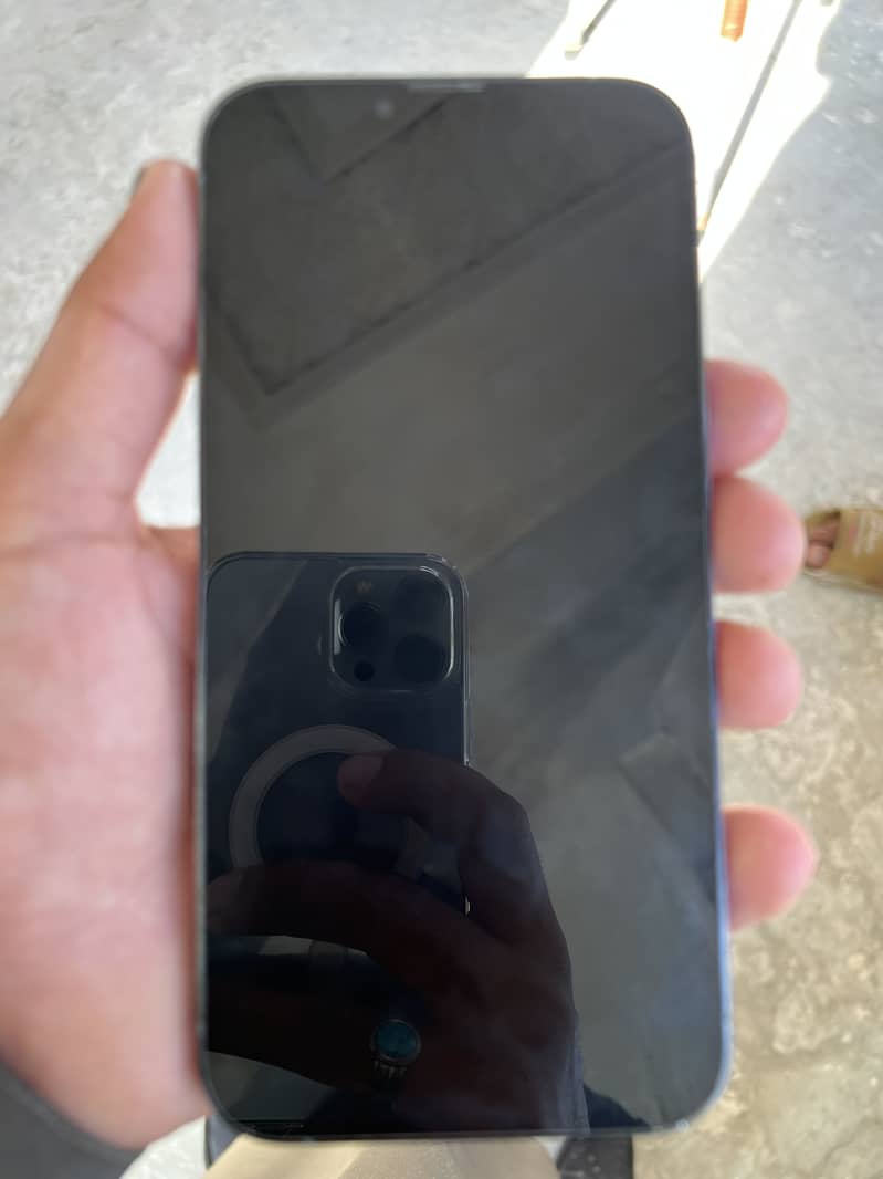 Apple iPhone 13 Pro Max 1