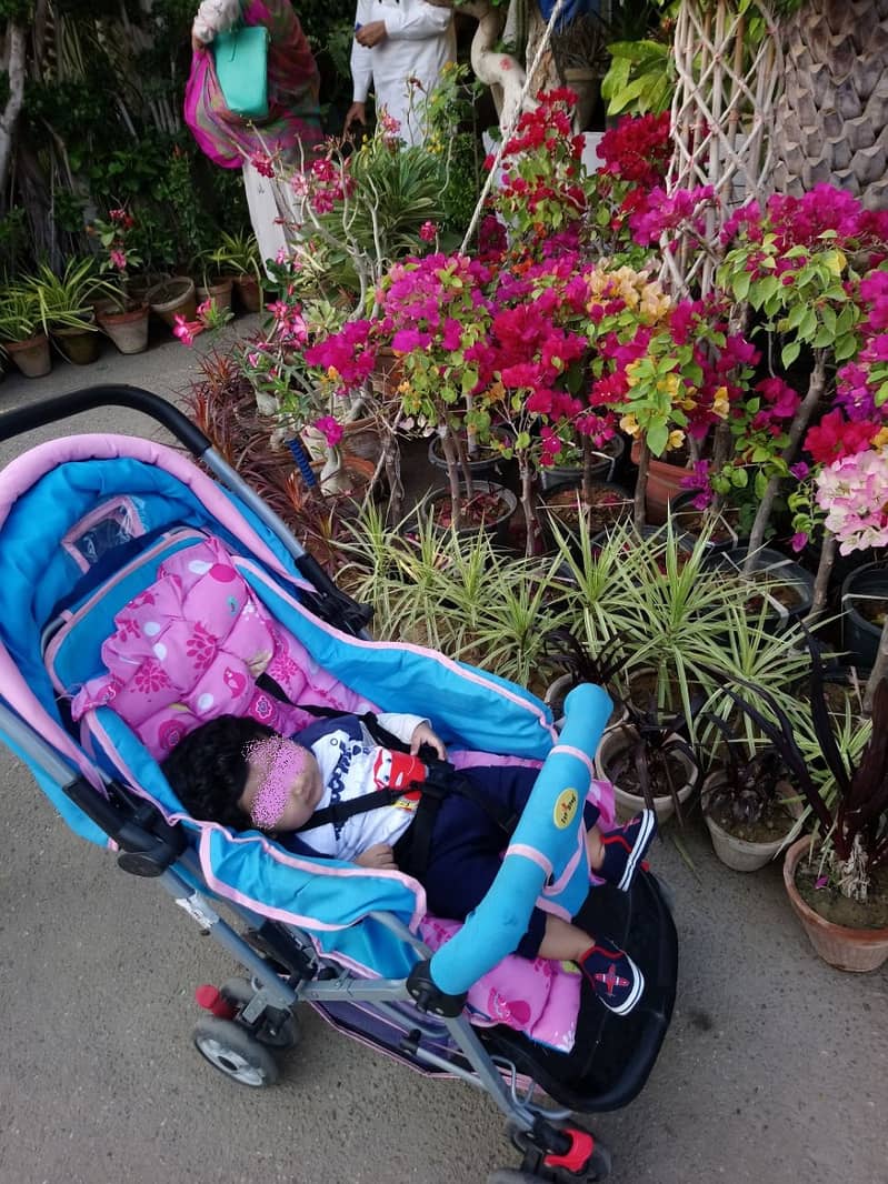 Pram Stroller Imported 0