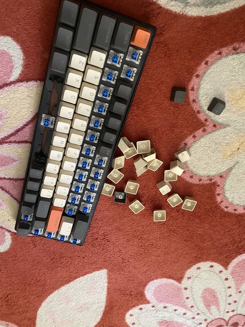Mechanical keyboard 100% layout 7