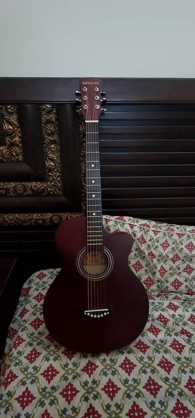 Acoustic guitar
