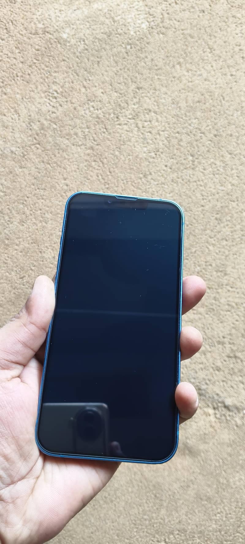 Apple iPhone 13 0