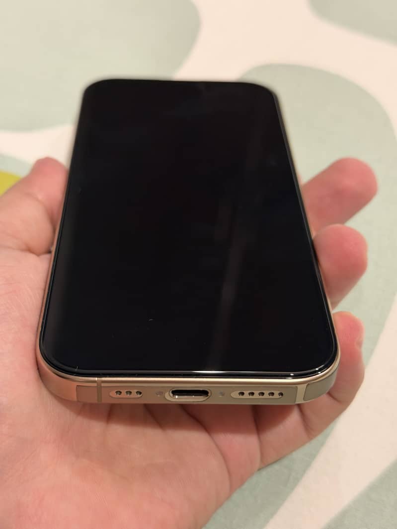 Apple iPhone 16 Pro 1