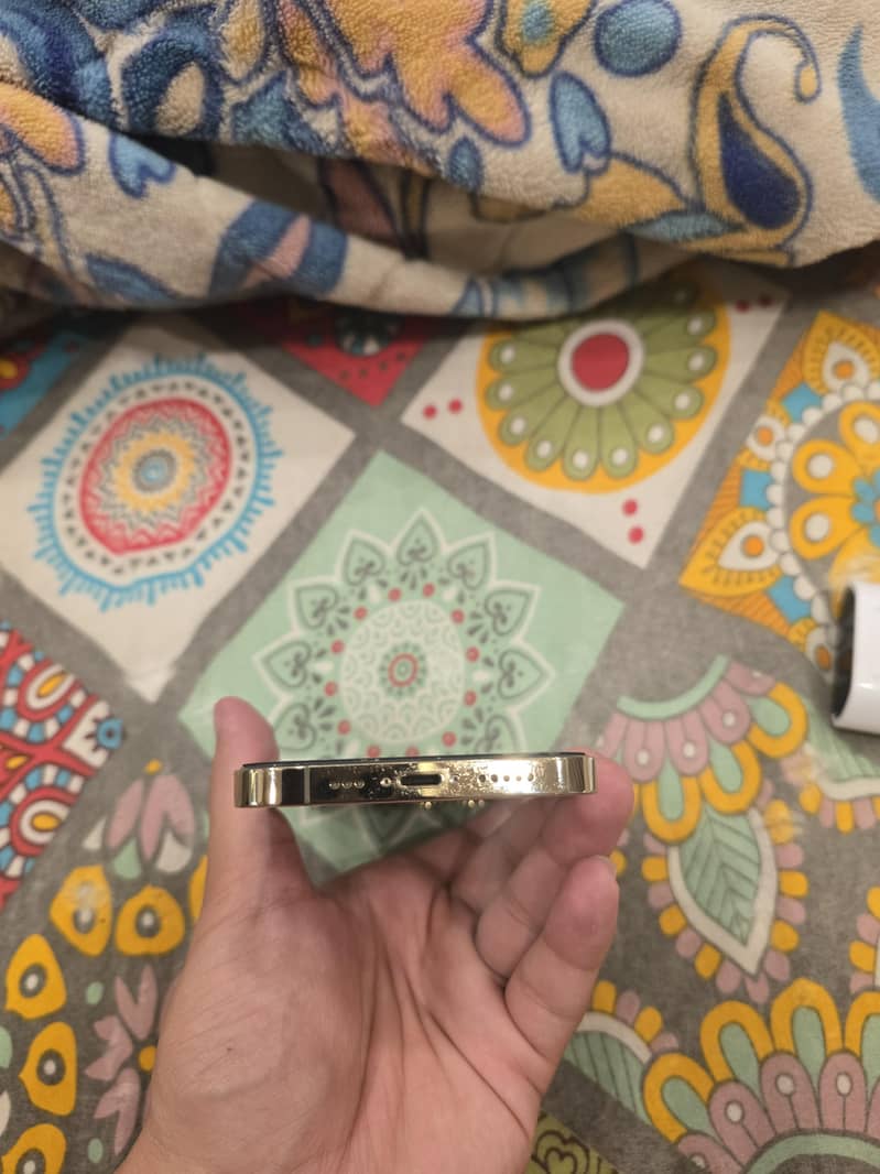 Apple iPhone 12 Pro 4