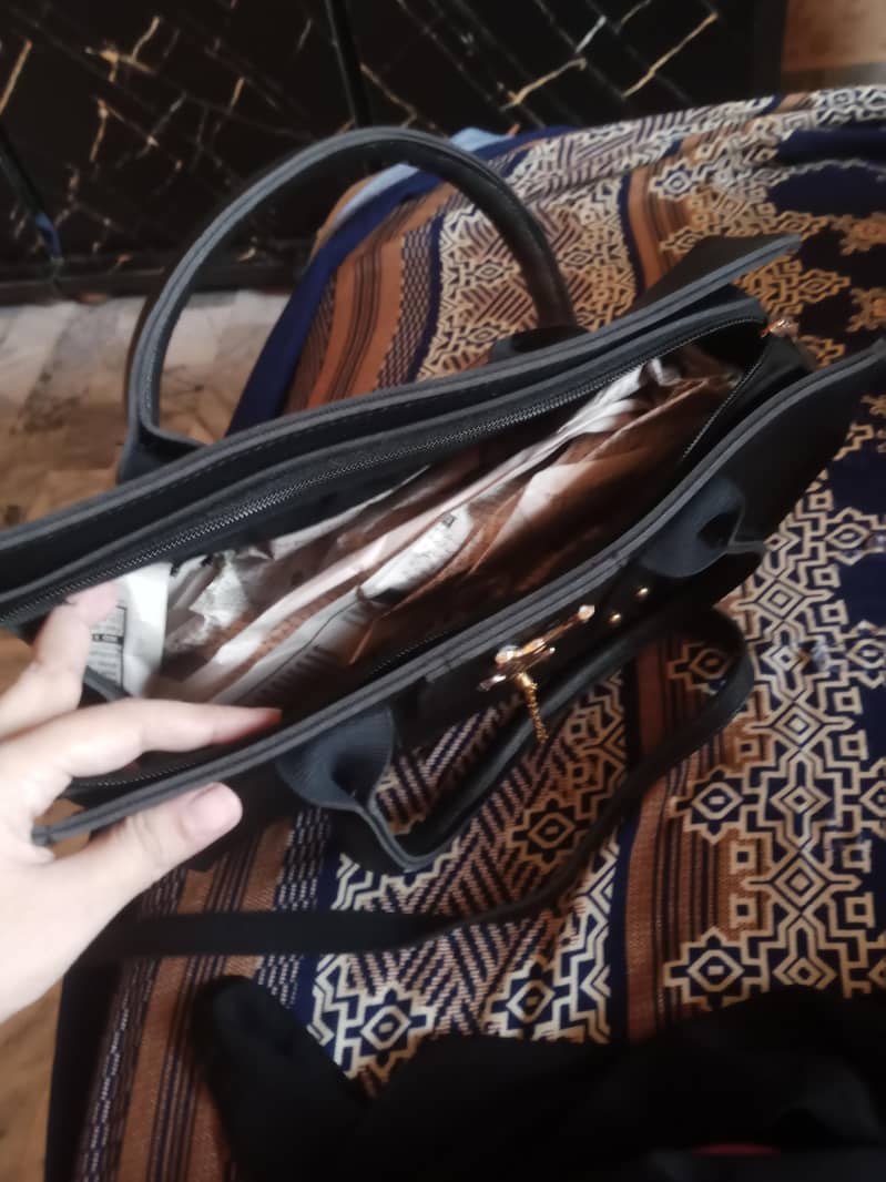 hand bag 2