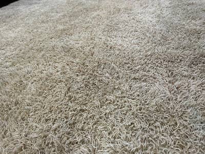 Soft Shaggy Rug / Center Carpet for Living Room