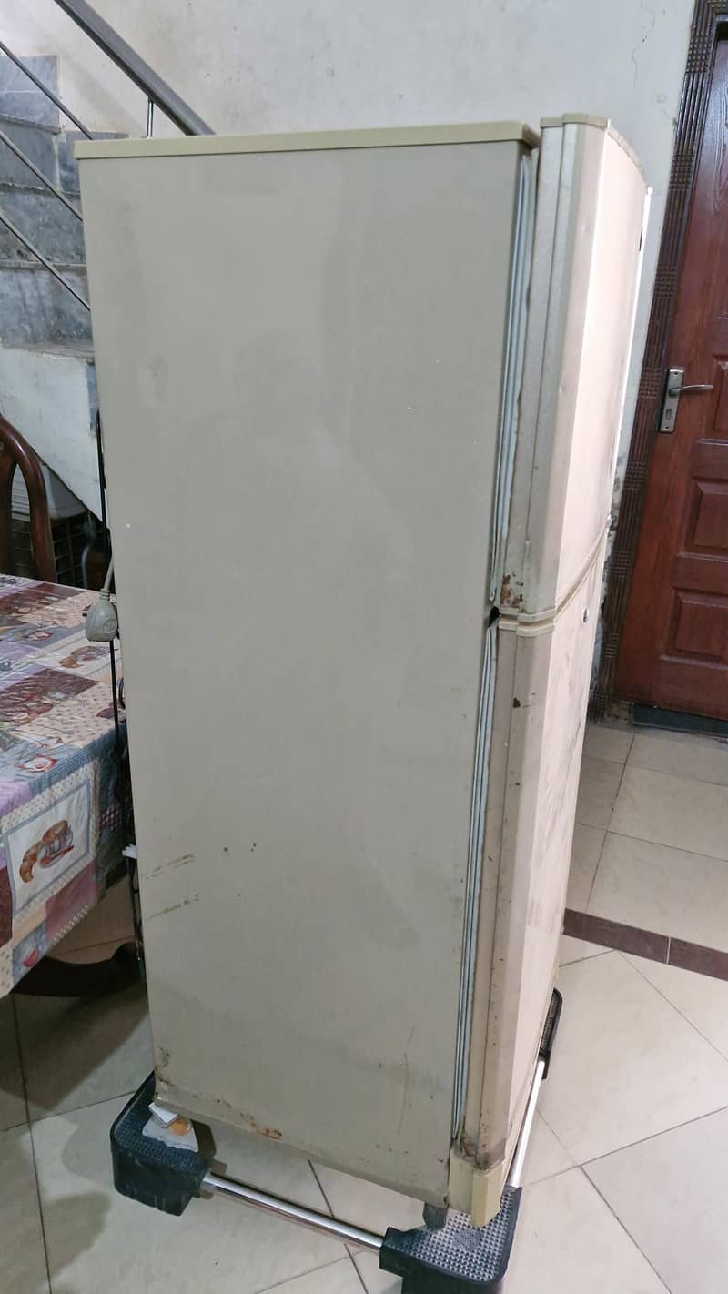 Medium size fridge. 2