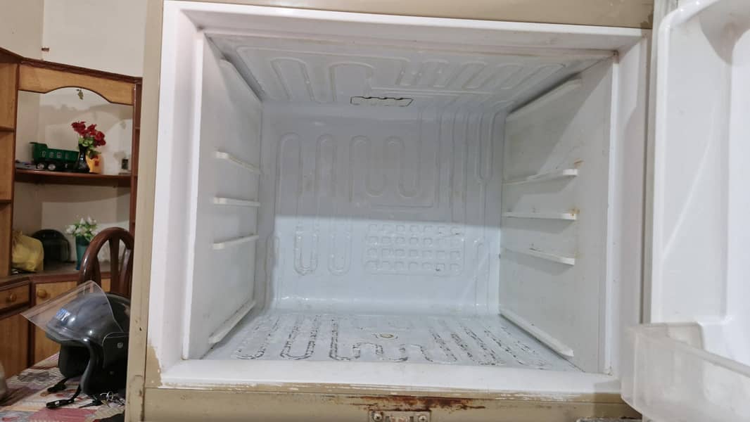 Medium size fridge. 3