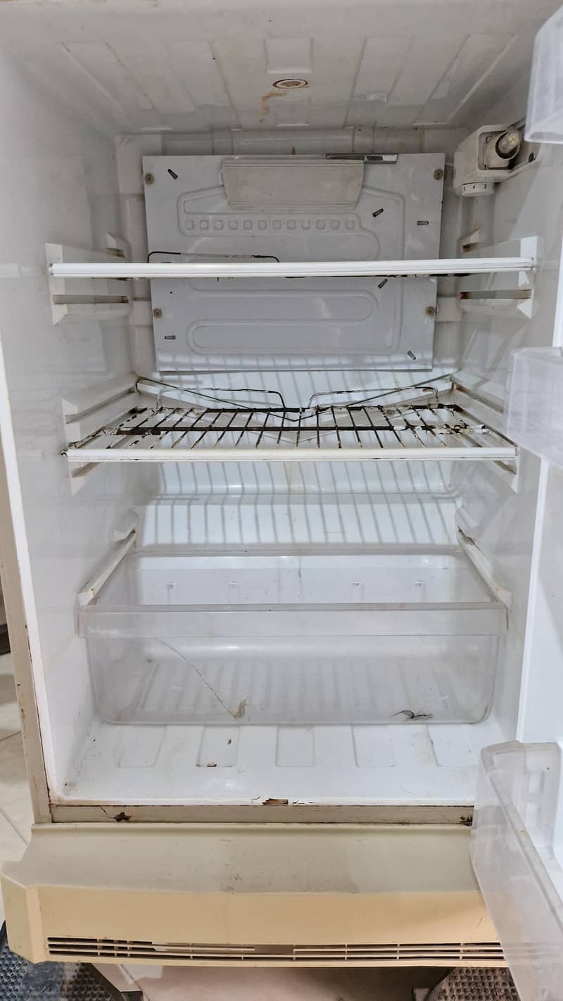 Medium size fridge. 4