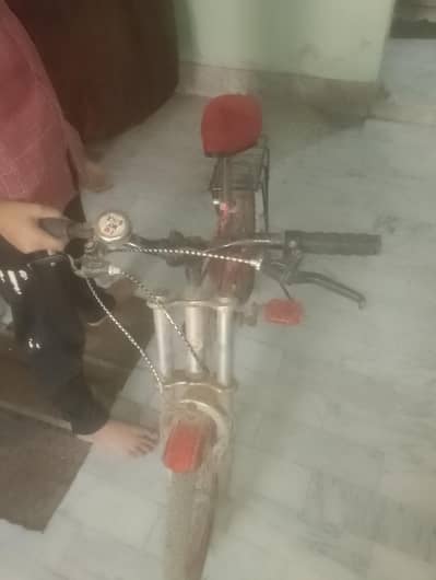 kids cycle