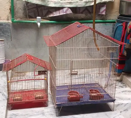 2 Bird Cages for Sale – Good Condition