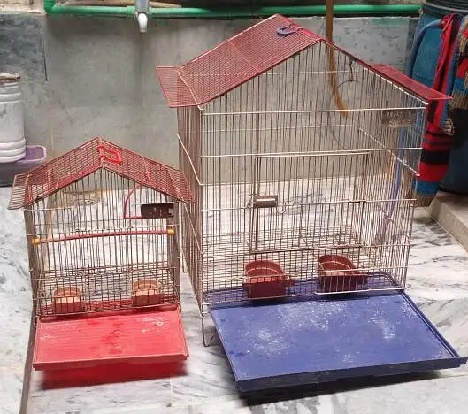 2 Bird Cages for Sale – Good Condition — photo 2