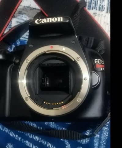 Canon Rebel T3: Your First Step Into Real Photography