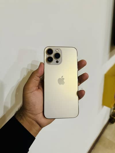 Apple iPhone 13 Pro Max jv