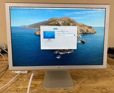 Apple Monitor 22 inch