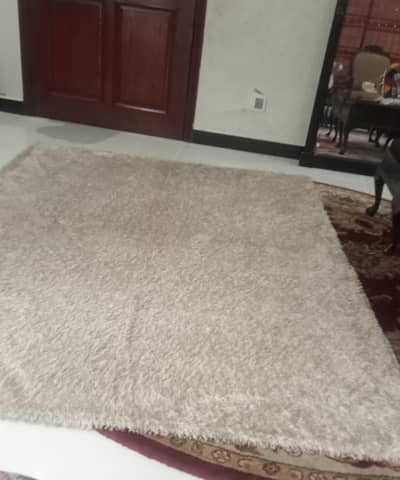 carpet n rug