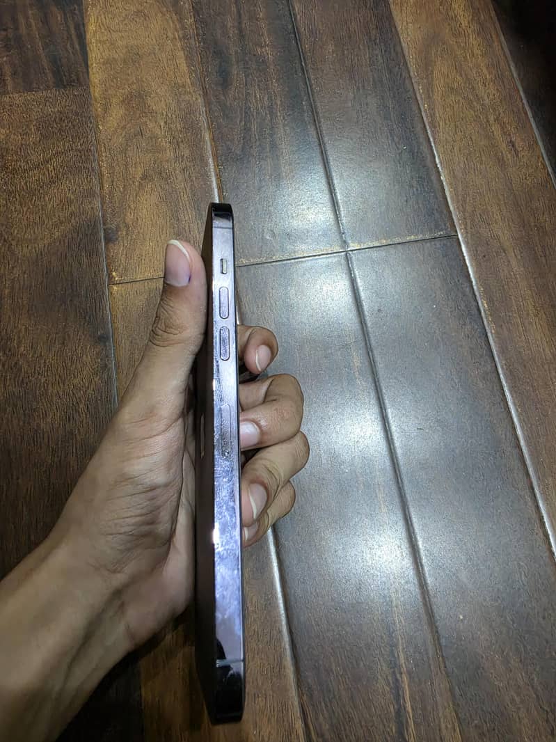 Apple iPhone 14 Pro Max 3