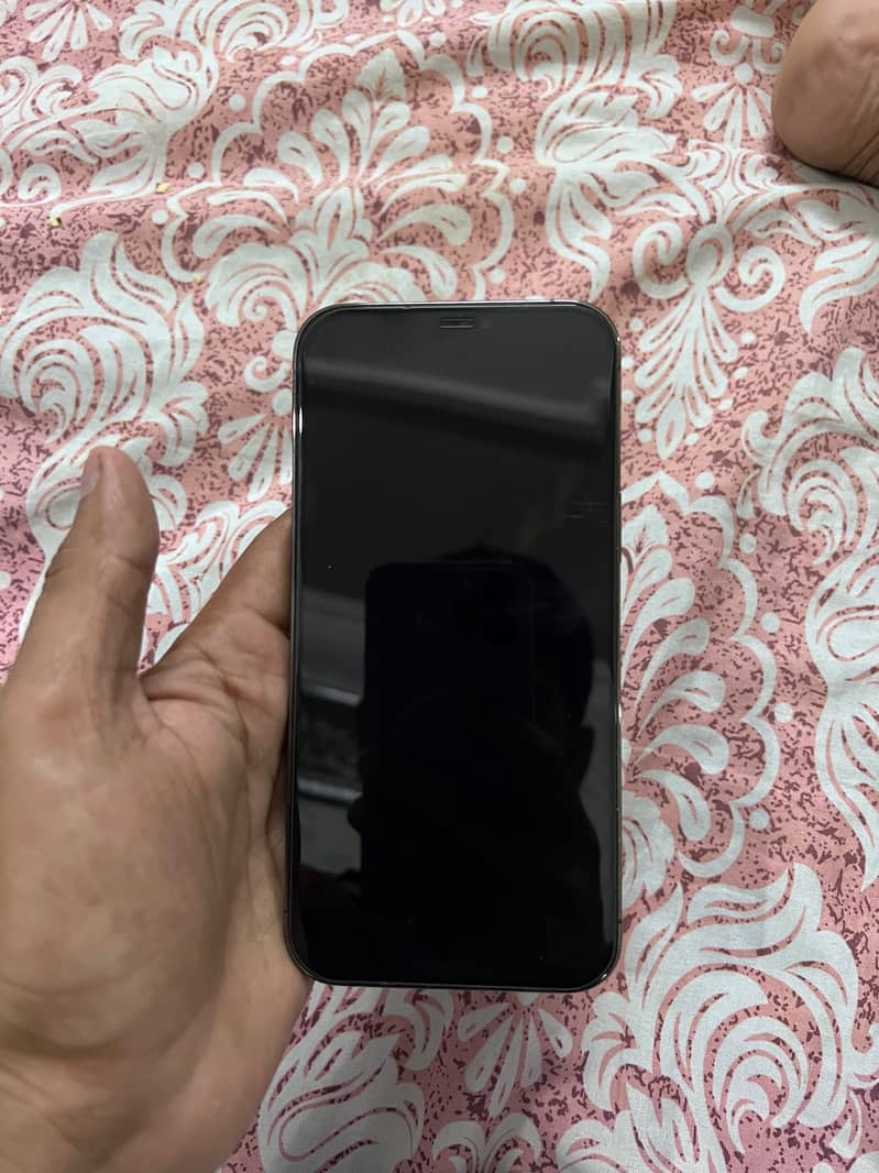 Apple iPhone 12 Pro Max 1