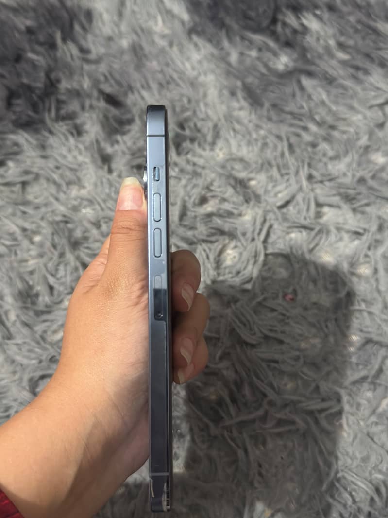 Apple iPhone 13 Pro Max 2