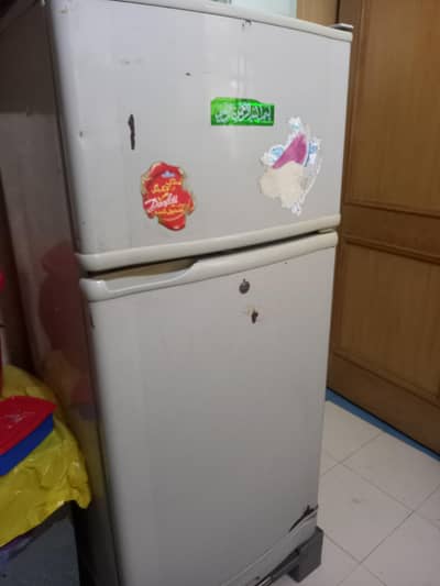 Fridge (PEL)