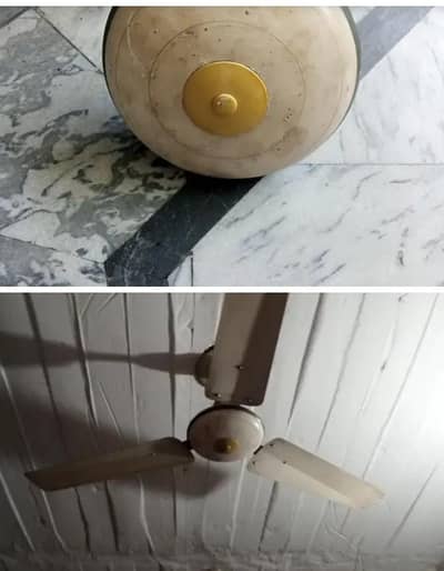 celling fan