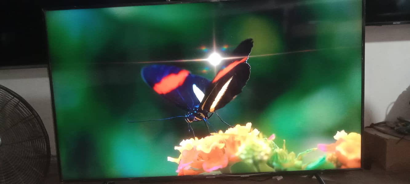 sudesh electronics LED shops 1