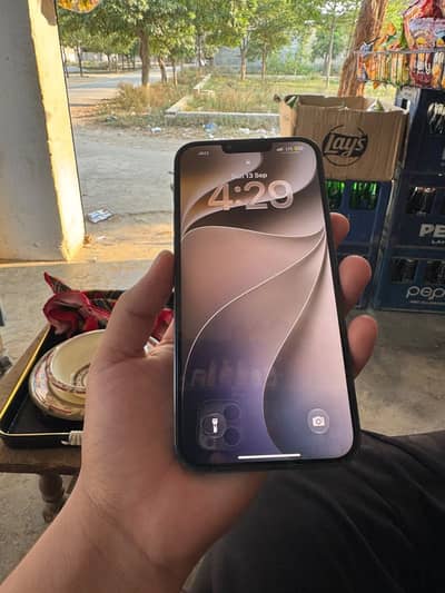 Apple iPhone 13 Pro Max