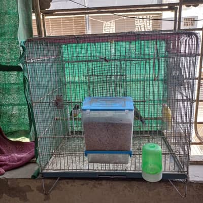 Cages