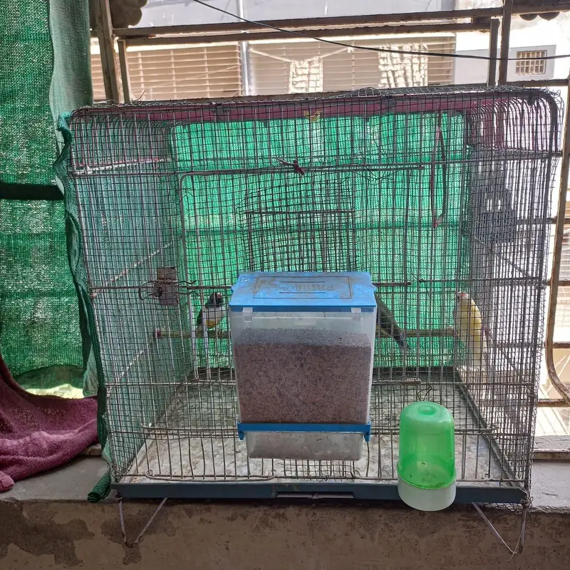 Cages