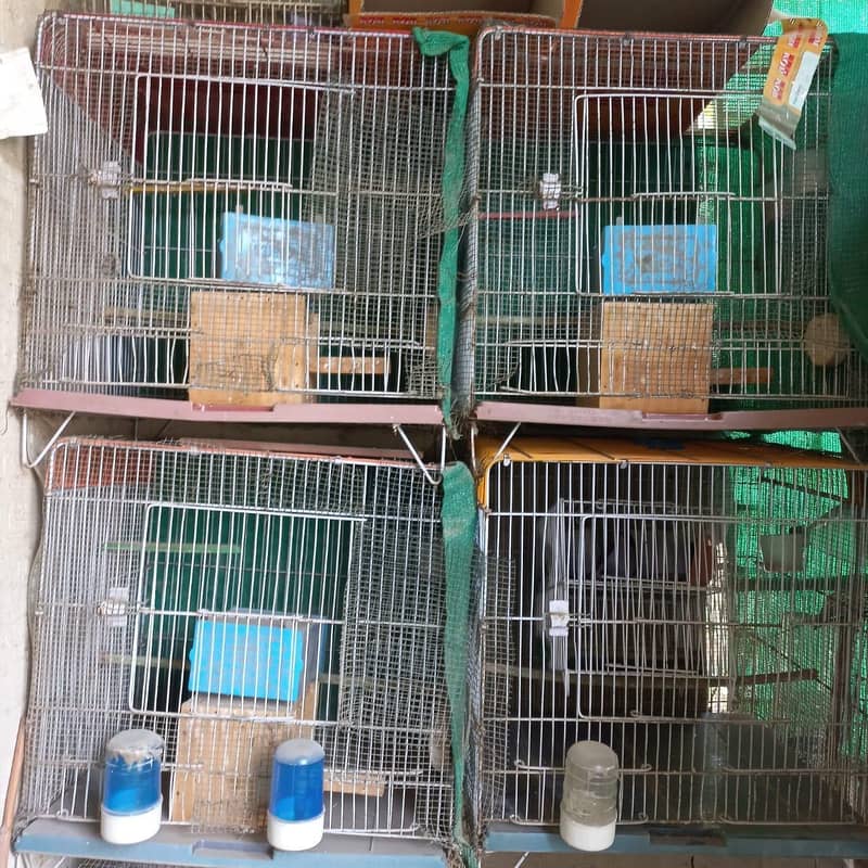 Cages 2