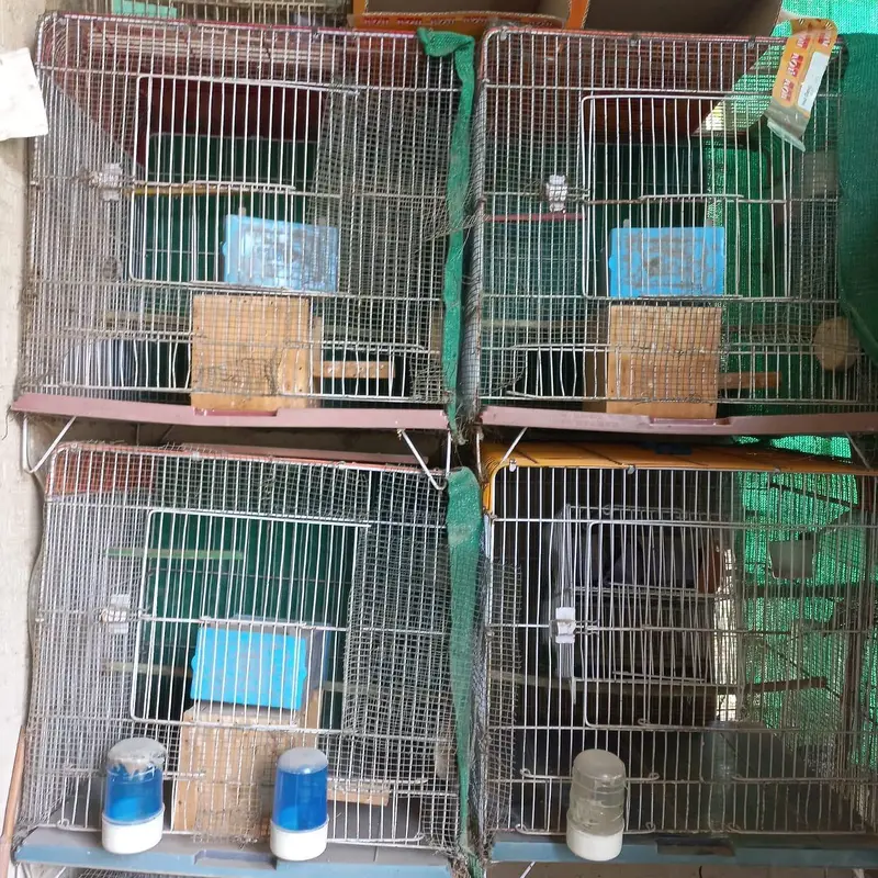 Cages — photo 3