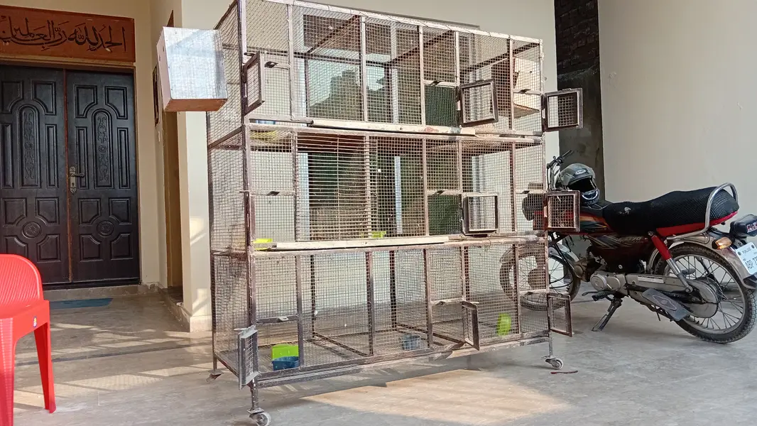 Bird Cage - 9 Portion - 5 by 5 feet - heavy duty Solid Iron