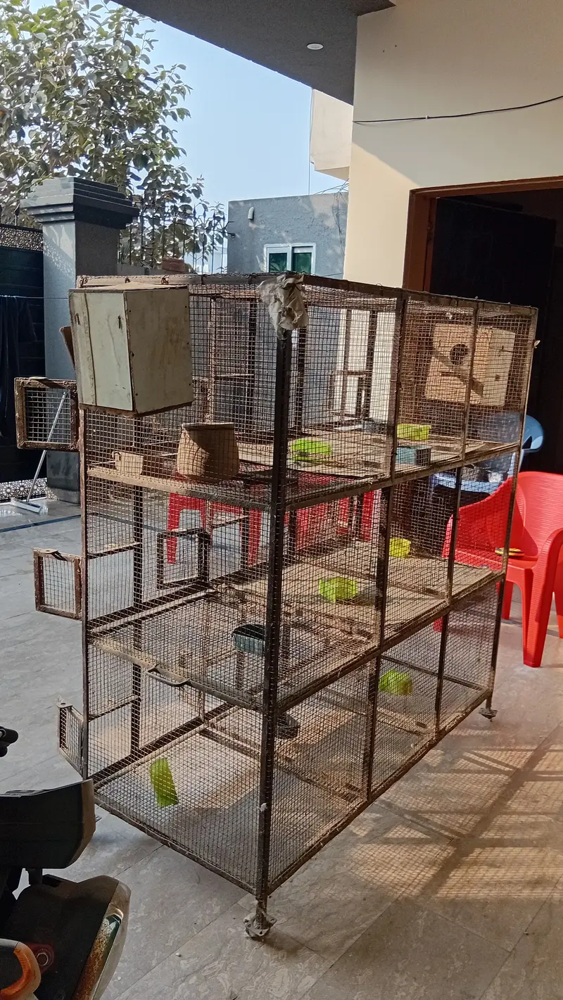 Bird Cage - 9 Portion - 5 by 5 feet - heavy duty Solid Iron — photo 3