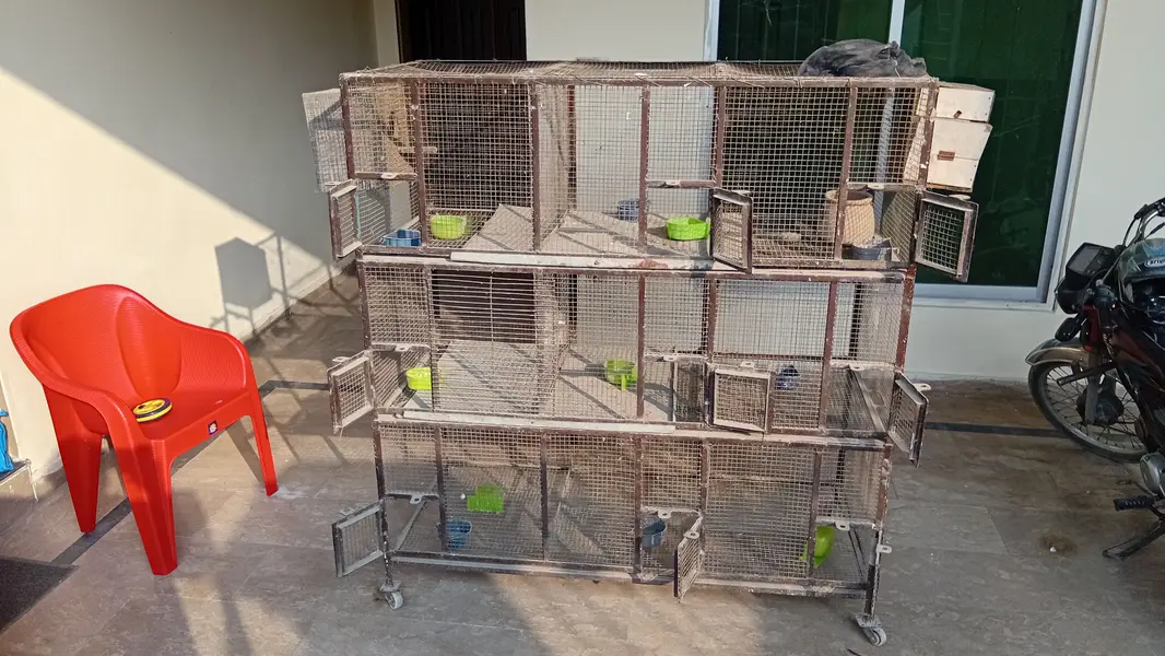 Bird Cage - 9 Portion - 5 by 5 feet - heavy duty Solid Iron — photo 4
