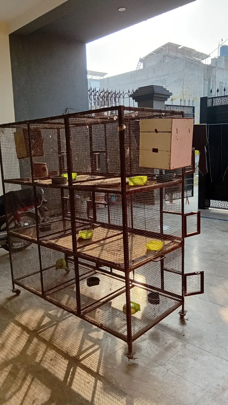 Bird Cage - 9 Portion - 5 by 5 feet - heavy duty Solid Iron — photo 5