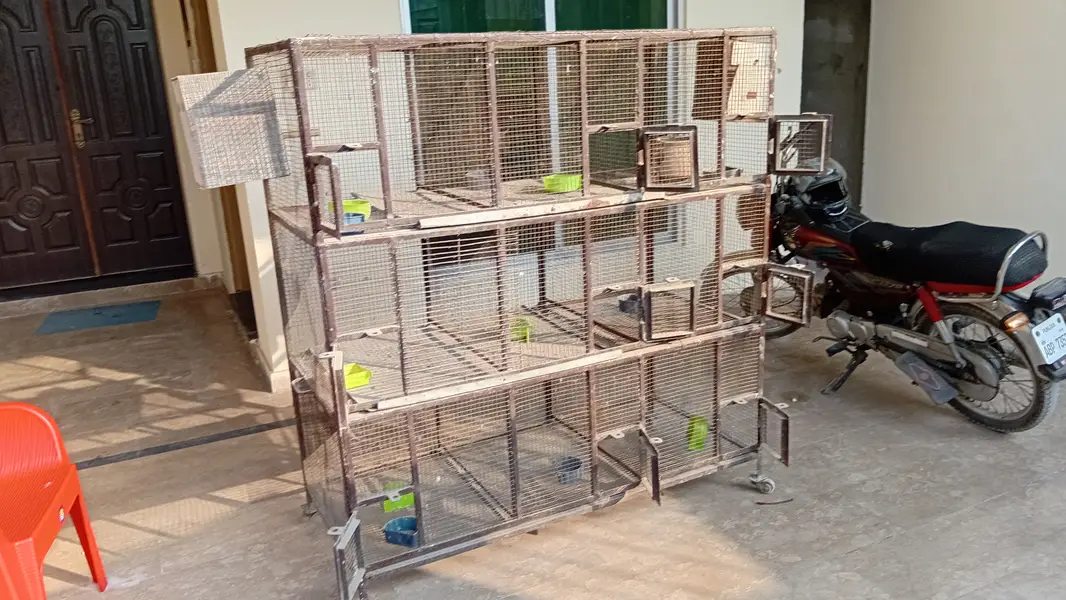 Bird Cage - 9 Portion - 5 by 5 feet - heavy duty Solid Iron — photo 6