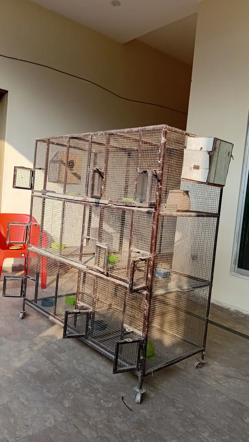 Bird Cage - 9 Portion - 5 by 5 feet - heavy duty Solid Iron — photo 7