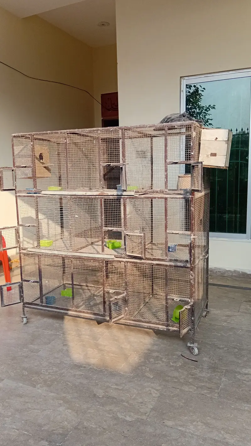 Bird Cage - 9 Portion - 5 by 5 feet - heavy duty Solid Iron — photo 8