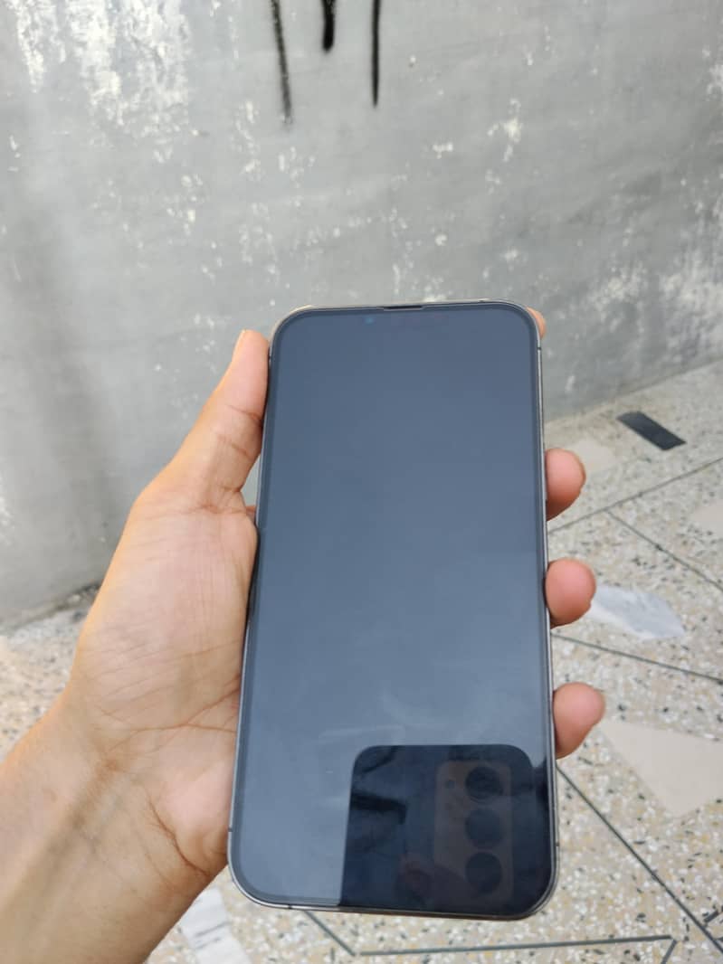 Apple iPhone 13 Pro Max 1