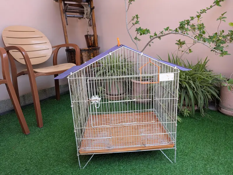 bird cage — photo 2